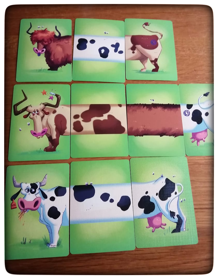 Bou´s und Ness Testbox
